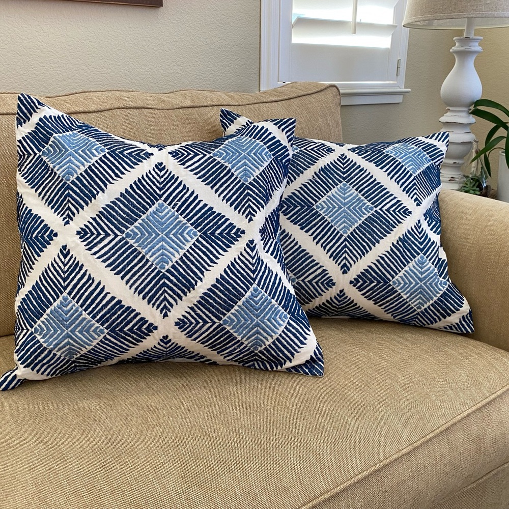 Pottery Barn pillow covers (2)